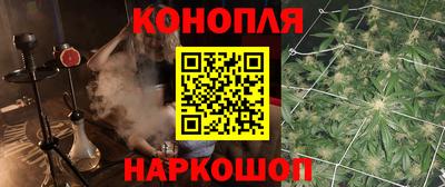 молекула духа Шебекино