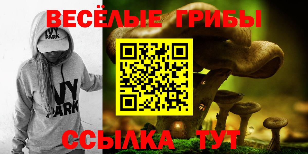 Галлюциногенные грибы ЛСД  Галлюциногенные грибы прущие грибы  Каменка  Вход с VPN 