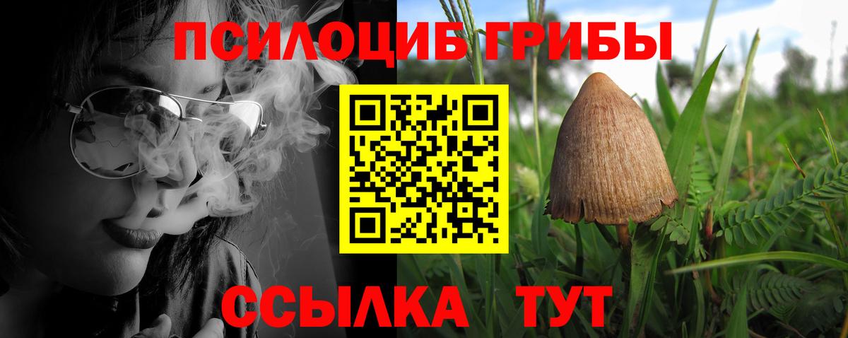 Галлюциногенные грибы GOLDEN TEACHER Каменка